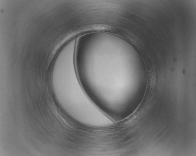 X0000052610350200507010944