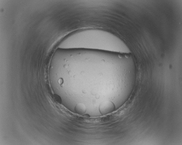 X0000052610351200507010944