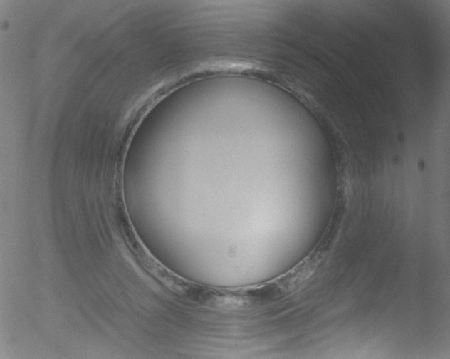 X0000052610352200507010944