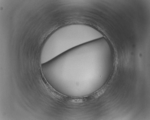 X0000052610353200507010944