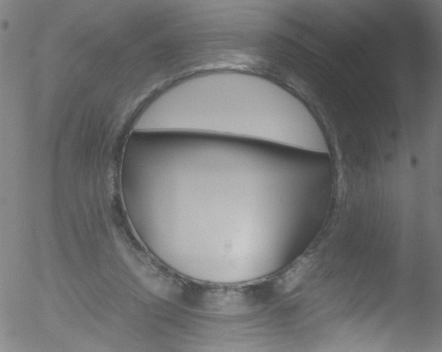 X0000052610354200507010944