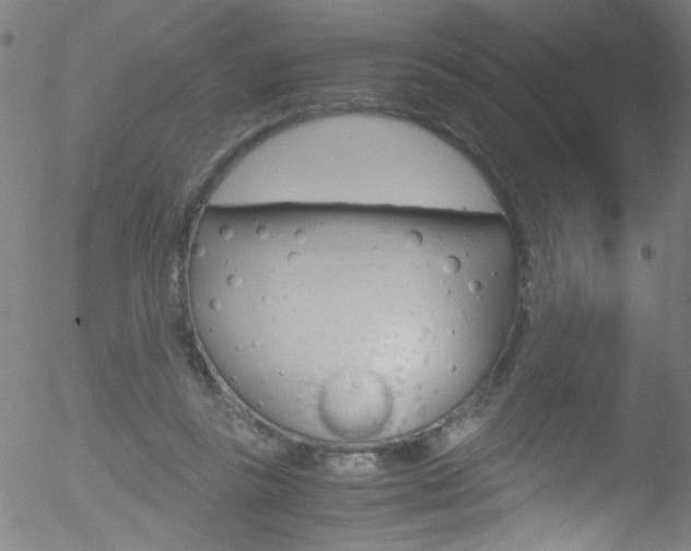 X0000052610355200507010944