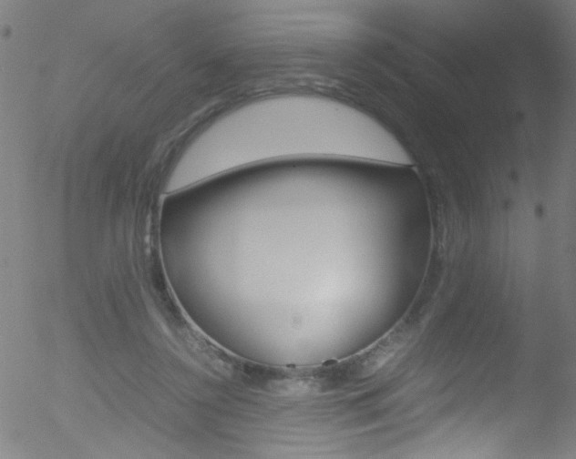 X0000052610356200507010945