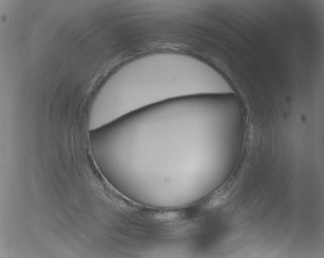 X0000052610357200507010945