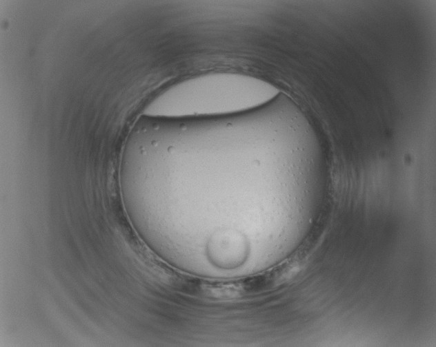 X0000052610359200507010945