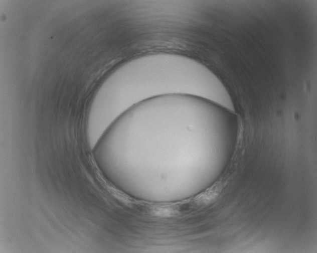 X0000052610360200507010945