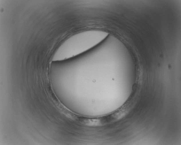 X0000052610361200507010945