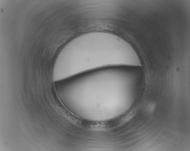 X0000052610362200507010945