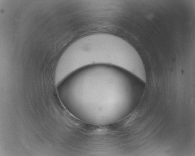 X0000052610364200507010945