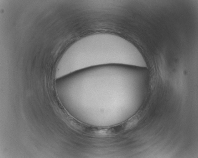 X0000052610365200507010945