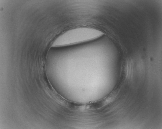 X0000052610366200507010945