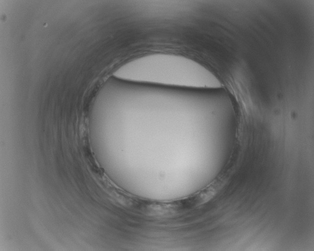 X0000052610367200507010945