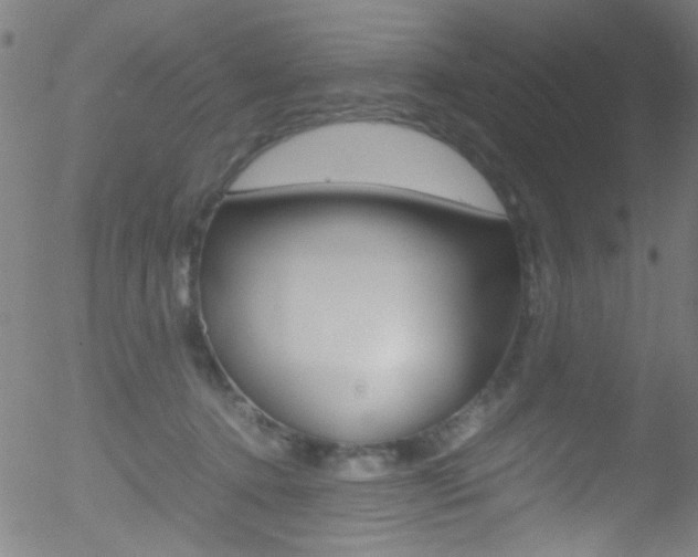 X0000052610368200507010945