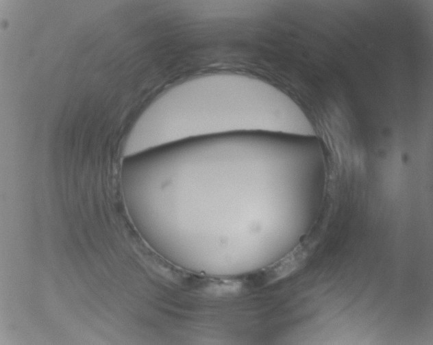 X0000052610369200507010945