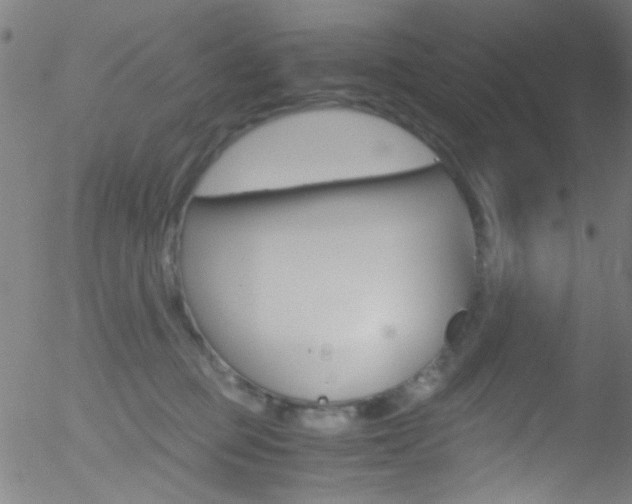 X0000052610373200507010945