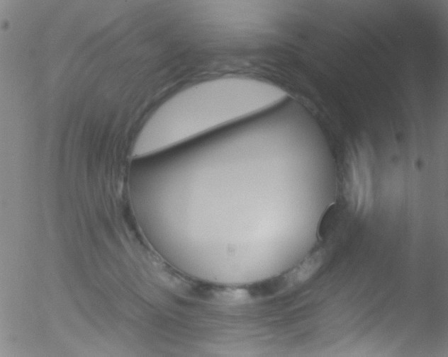 X0000052610374200507010945