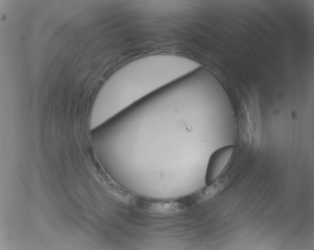 X0000052610375200507010945