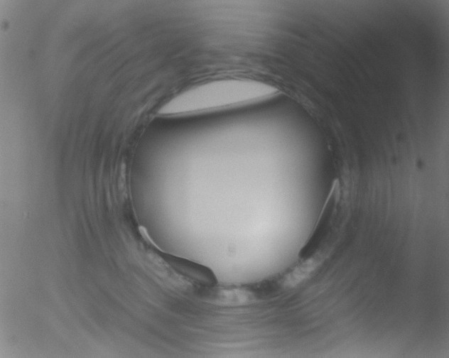 X0000052610376200507010945