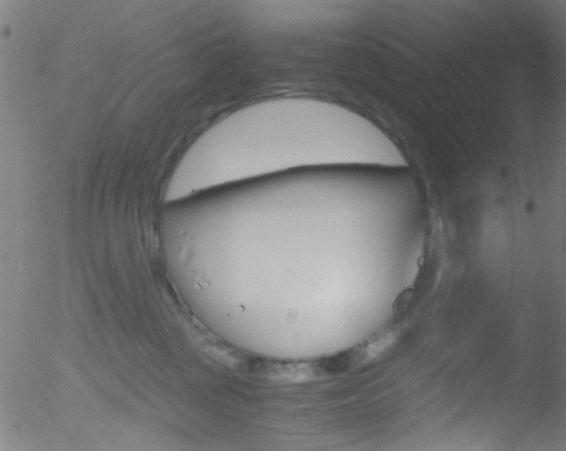 X0000052610377200507010945