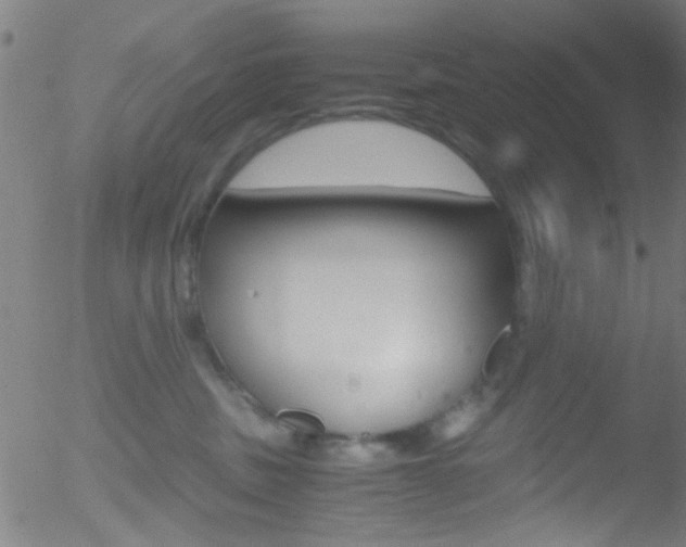 X0000052610379200507010945