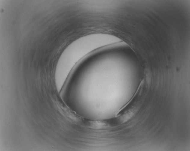 X0000052610380200507010945