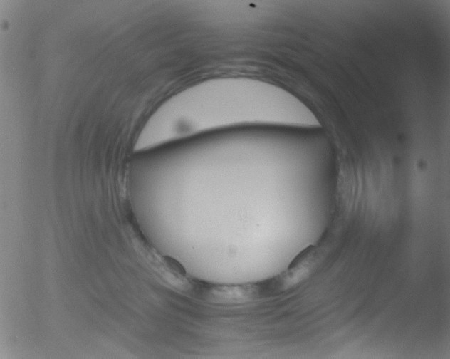 X0000052610381200507010945