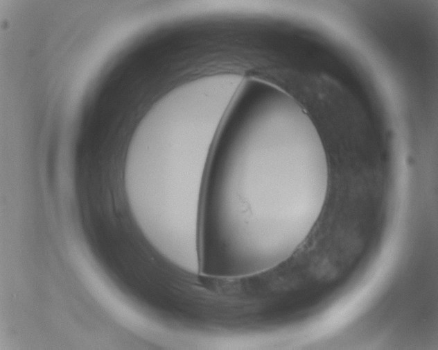 X0000052610382200507010945