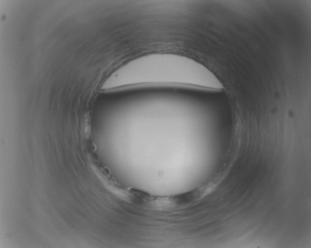 X0000052610383200507010945