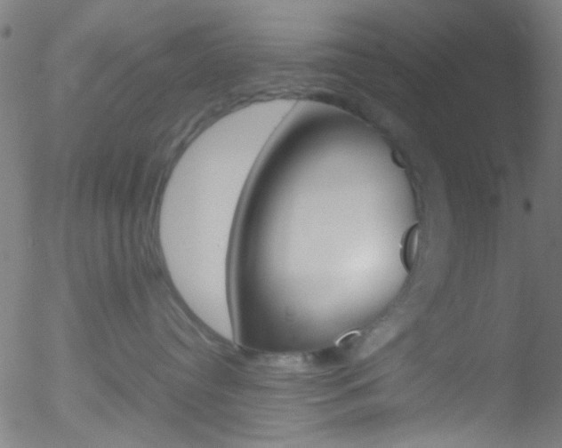 X0000052610384200507010945