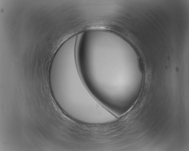 X0000052610385200507010944