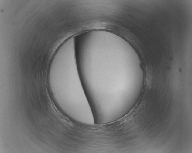 X0000052610386200507010944