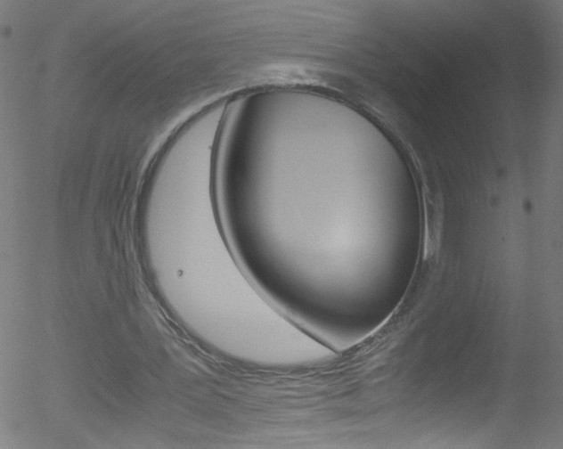 X0000052610387200507010944