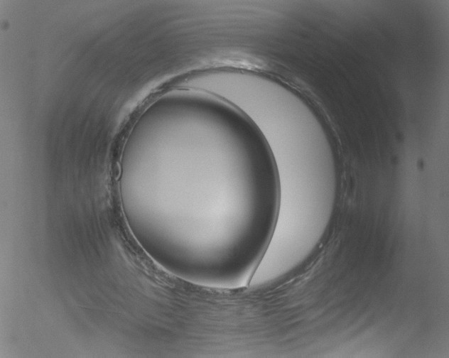 X0000052610388200507010944