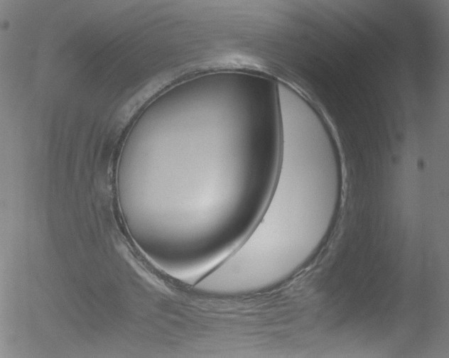 X0000052610389200507010944