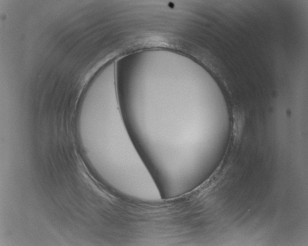 X0000052610390200507010944