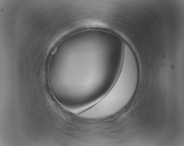 X0000052610391200507010944