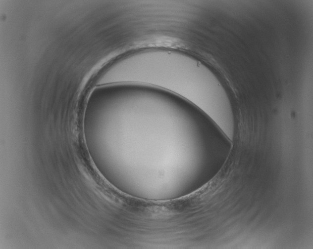 X0000052610392200507010944