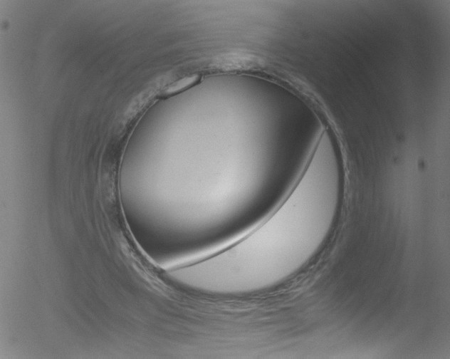 X0000052610393200507010944