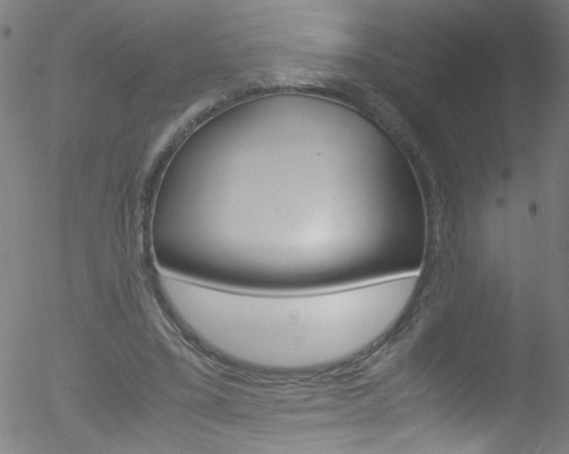 X0000052610395200507010944