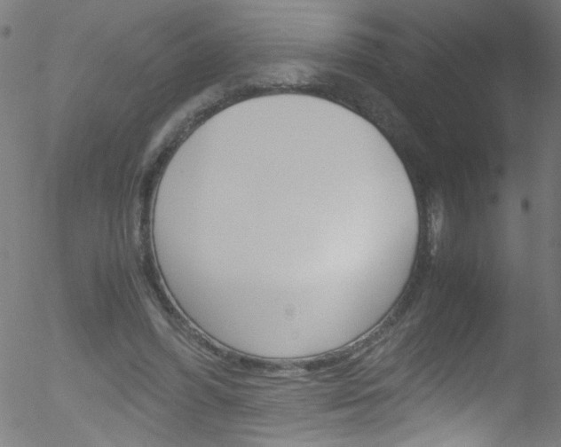 X0000052610396200507010944