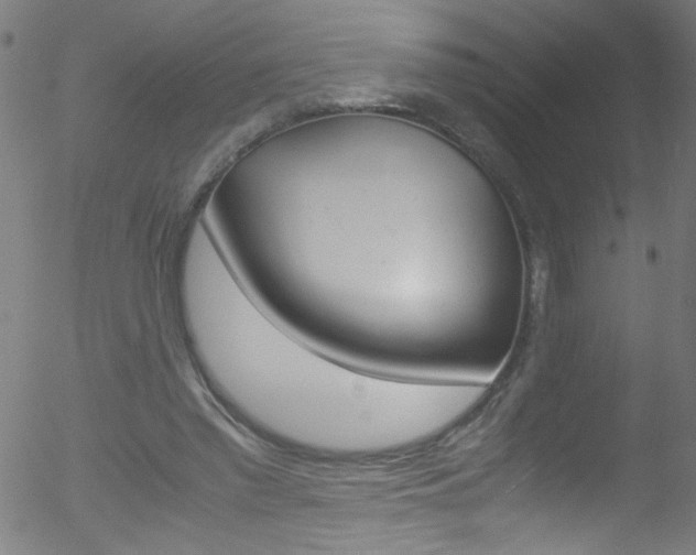 X0000052610397200507010944