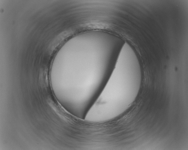 X0000052610398200507010944