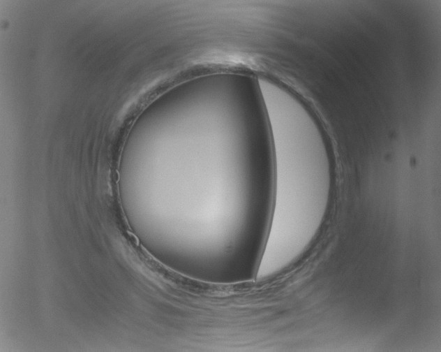 X0000052610399200507010944