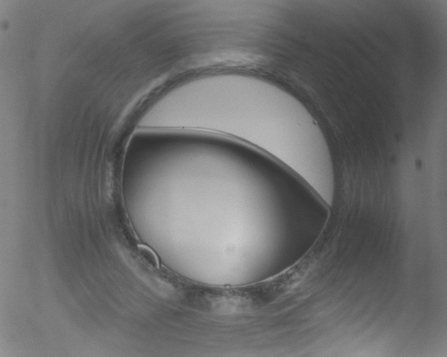 X0000052610400200507010944