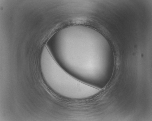 X0000052610401200507010944