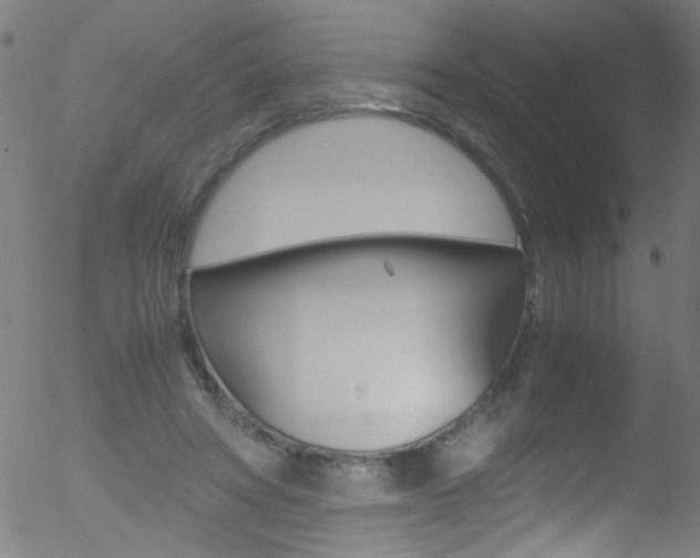 X0000052610402200507010944