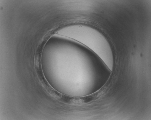 X0000052610403200507010944