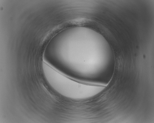 X0000052610404200507010944