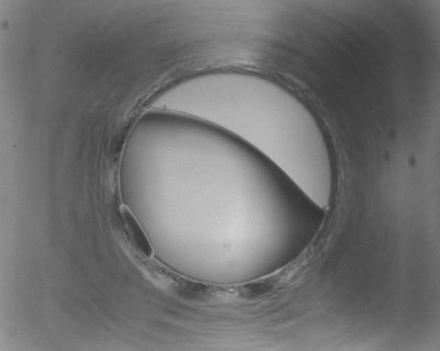 X0000052610405200507010944