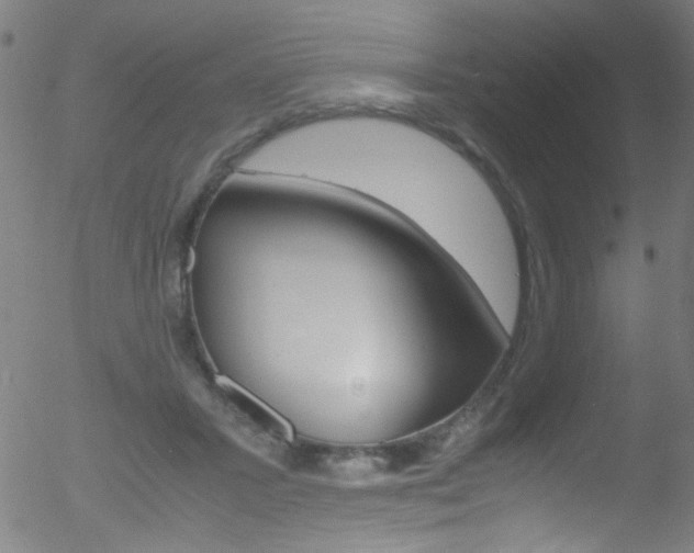 X0000052610407200507010944